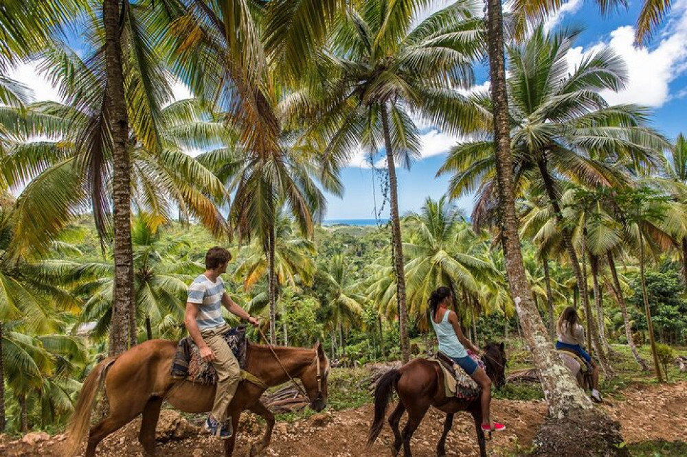 Horseback Riding in the Dominican Jungle