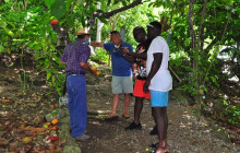 Caribbean Tour service srl3