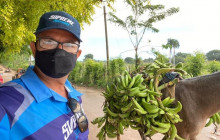 Caribbean Tour service srl22