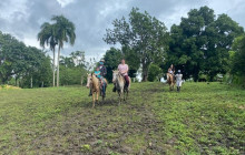 Caribbean Tour service srl24