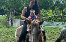 Caribbean Tour service srl25