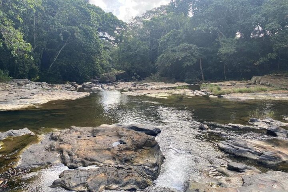 Caribbean Tour service srl