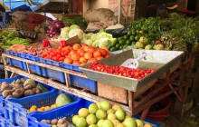 Caribbean Tour service srl34