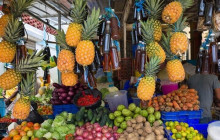 Caribbean Tour service srl36