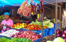 Caribbean Tour service srl38