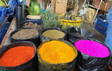 Caribbean Tour service srl42