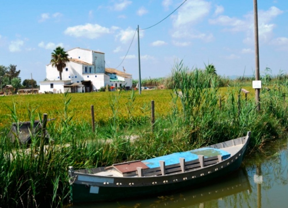 Private Albufera Lake Tour