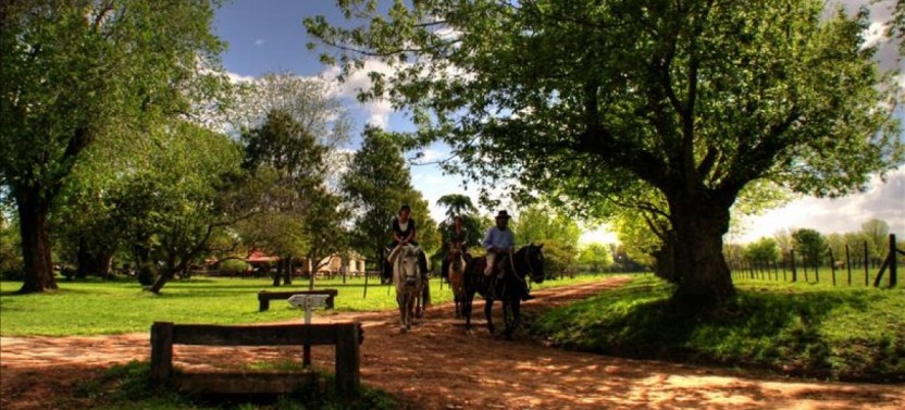 Farm & Countryside Tour