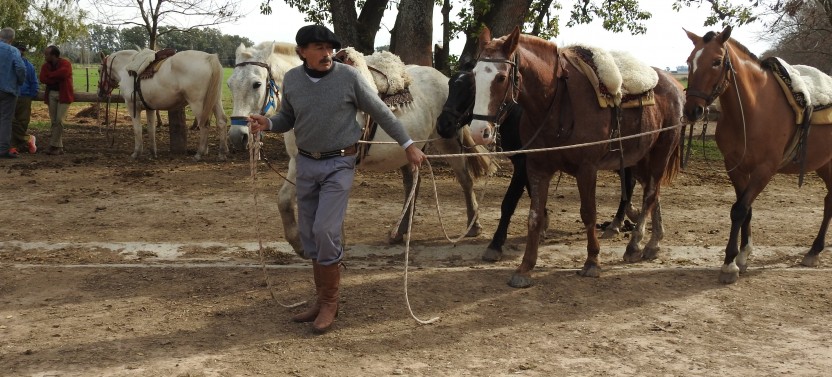 Private Authentic Argentinian Estancia Day Tour