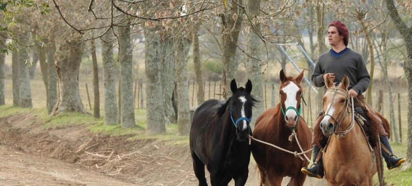 Private Authentic Argentinian Estancia Day Tour