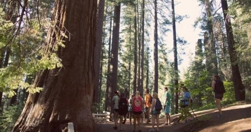 Yosemite Overnight Hotel Tour - Yosemite View Lodge