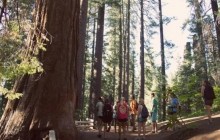 Yosemite and Tahoe Sierras Tour (4 days)