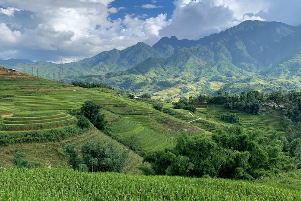 Sapa Trekking Tour 2 Days 1 Night With Local Guide