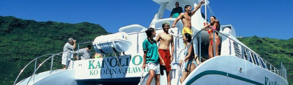 Premium Dolphin Watch & Snorkel Cruise with a Meal and Drinks - Morning