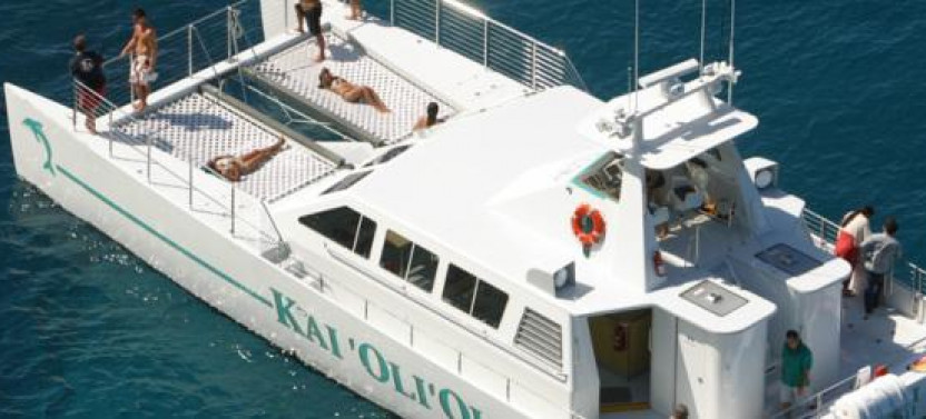 Afternoon Ocean Adventure: Wild Dolphins, Snorkeling & Island Flavors