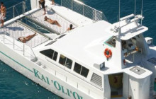 Ocean Joy Cruises4