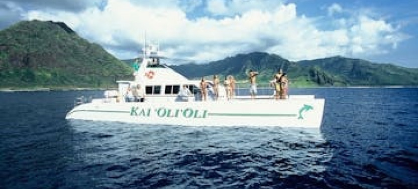 Luxurious Private Sunset Dolphin Watch & Snorkel Cruise w/ Dinner & Drinks