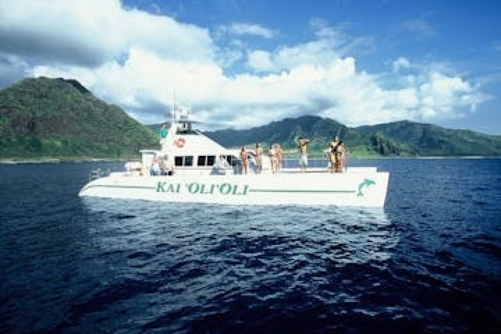 Ocean Joy Cruises