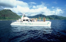 Ocean Joy Cruises12