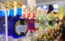 Irie Tours Bus Trips1