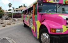 Irie Tours Bus Trips4