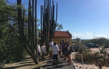 Irie Tours Bus Trips11