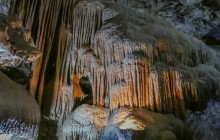 Irie Tours Bus Trips9