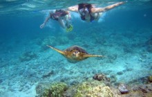 Irie Tours Bus Trips8