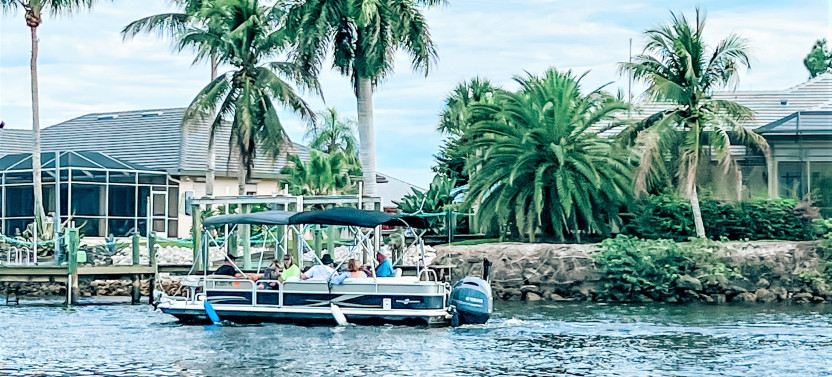 Manatee Sightseeing & Wildlife Boat Tour