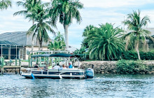 Manatee Sightseeing and Wildlife Adventures1