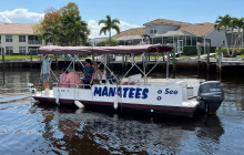 Manatee Sightseeing and Wildlife Adventures2