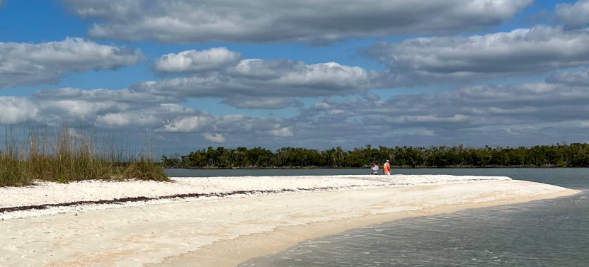 Manatee, Dolphin and 10,000 Islands Beach Eco-Tour