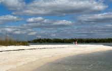 Manatee Sightseeing and Wildlife Adventures3