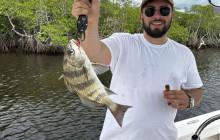 Manatee Sightseeing and Wildlife Adventures3