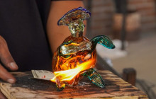 Cabo Adventures5
