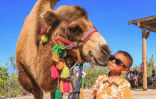 Cabo Adventures6
