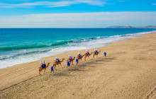 Cabo Adventures5
