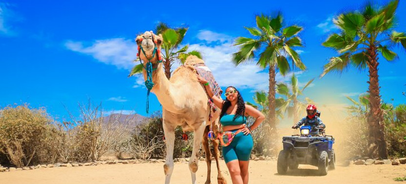 Small Group Camels and ATV Combo Tour with Mexican Buffet