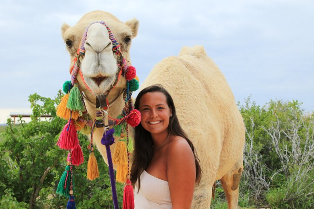 Small Group Camels and ATV Combo Tour with Mexican Buffet