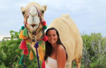 Cabo Adventures1