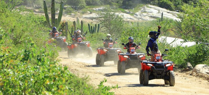 Small Group Camels and ATV Combo Tour with Mexican Buffet