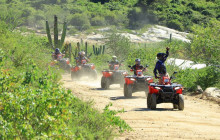 Cabo Adventures3