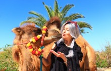 Cabo Adventures5