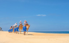 Cabo Adventures8