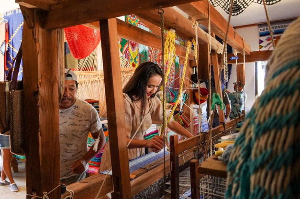 Small Group Magical Todos Santos Tour, Camel Ranch, Lunch & Tequila