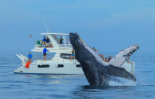 Cabo Adventures1
