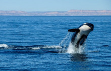 Cabo Adventures5