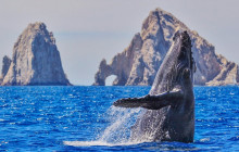 Cabo Adventures10