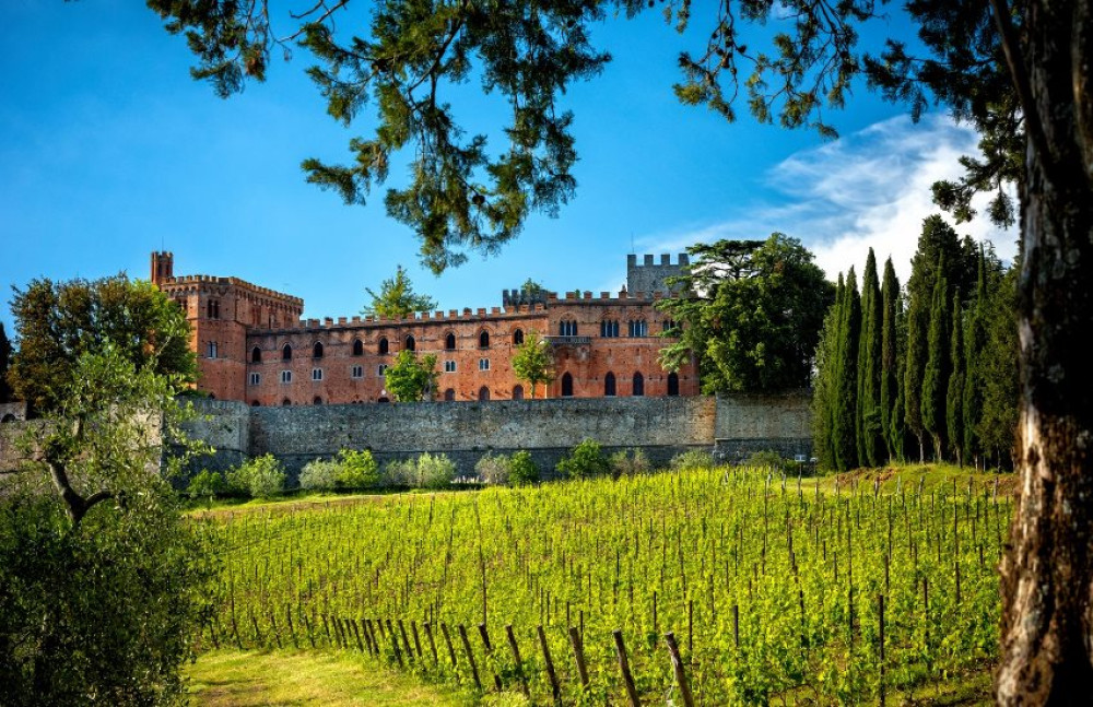 Private Tour in Chianti