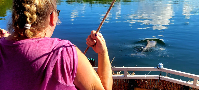 Dolphin Sightseeing Tour in Cocoa Beach on Tiki Boat